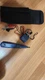 fluke pro3000 toner and probe
