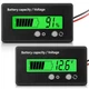 DC 12V 24V 36V 48V 60V 72V 84V Golf Cart Battery 24.1 x 13.1 x 5.3 mm, Green