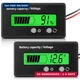 DC 12V 24V 36V 48V 60V 72V 84V Golf Cart Battery Meter with Alarm, Front Setting